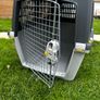 Dog transport box kennel crate IATA airline approved size 5 Image 2