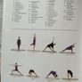 yoga Mira Mehta Image 3