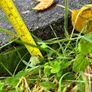 Concrete Paving Slab 2x2ft Image 4
