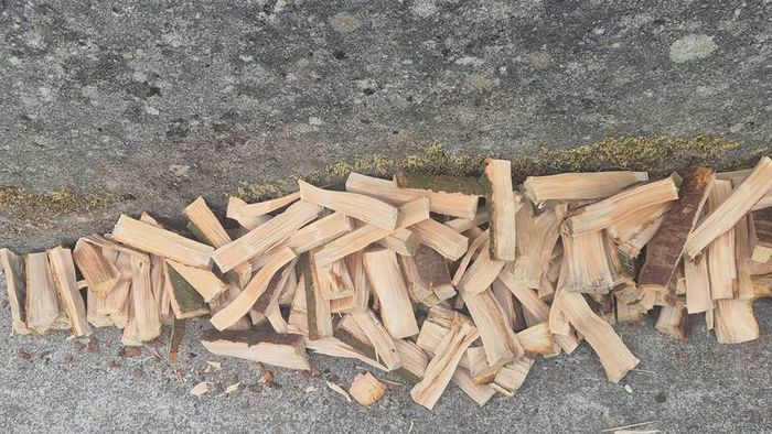 Fire Wood