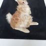 Large Large Bunny picture Image 3