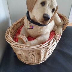 ornament dog