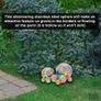 8 Pcs Stainless Steel Multi Colour Gazing Ball for Home Garden Ornament Decorations, 42-150 mm Mirror Polished Hollow Ball Reflective (FREE SHIPPING) Image 5