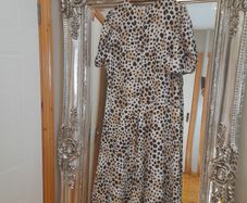 ladies dress
