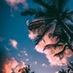 Alex_ander