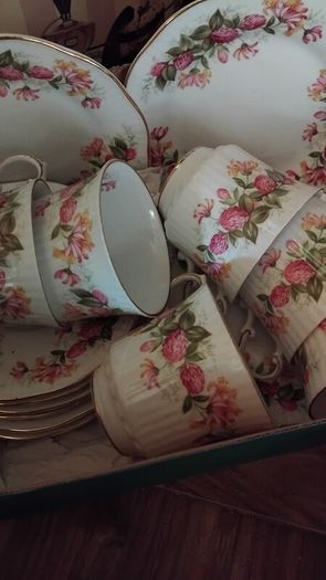 18piece Queens Woman And Home Rosina China Tea Set