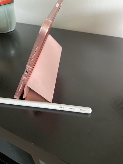 Apple iPad mini