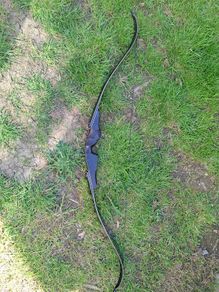 Recurve Bow