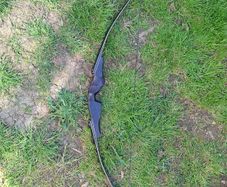 Recurve Bow