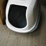 free cat litter box Image 2