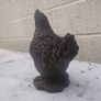 Concrete Hen Image 7
