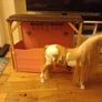 Generation doll Horse and stable Image 2