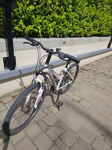 teen girl 24 mountain bike