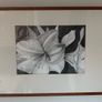 Large Original Framed Pencil / Graphite Drawing Image 2