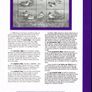 1997 Ireland Birds of Ireland Pack. Includes all stamps and mounts. Image 3
