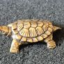 3 brass Turtles,. Solid brass. Image 6
