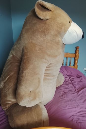 Extremely Rare! "Charmin Bear" shop display