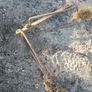 Hay Bogie Ropes Image 8
