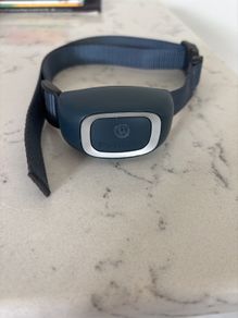 Dog barking collar