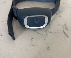 Dog barking collar