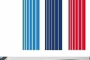 Bmw grill pinstripe sticker / decals