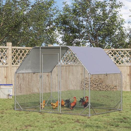 Large outdoor chicken run