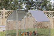 Large outdoor chicken run