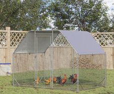 Large outdoor chicken run