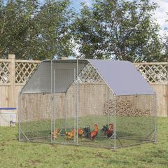 Large outdoor chicken run