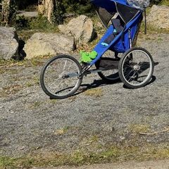 Runner buggie