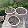Set of 3 terracotta pots Image 3