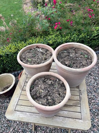 Set of 3 terracotta pots