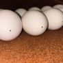 Egg-Goose-Large-Blown-Easter-Crafts Image 4