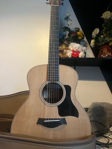 Taylor GS Mini semi acoustic