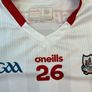Cork GAA Jersey-GPS Image 2
