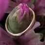 18kt Vintage Yellow Gold Band Image 3