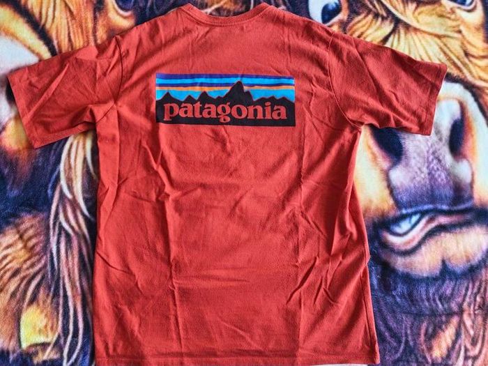Patagonia t-shirt