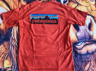 Patagonia t-shirt