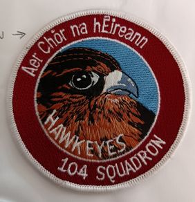 Irish Aircorps Badges