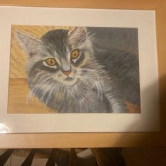 Oil painting cat free postage