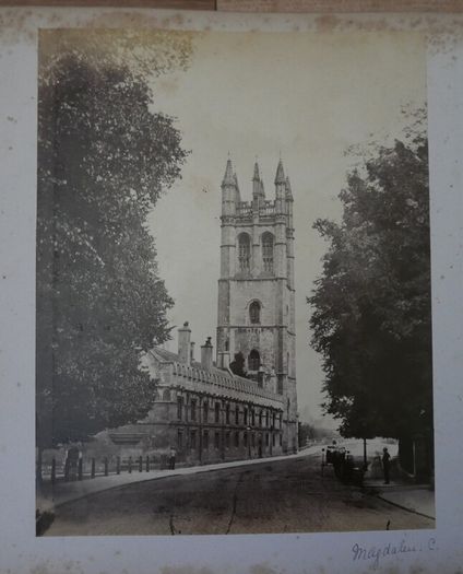 Victorian Photograph Album Photo Card Album  Antique Cabinet Card Photographs Photos 21 Page 42 Photos