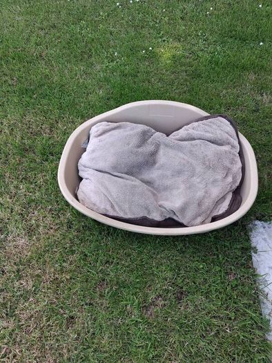 Med Dog bed and mattress