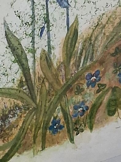 Framed Floral Watercolour