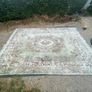 Rug Image 6