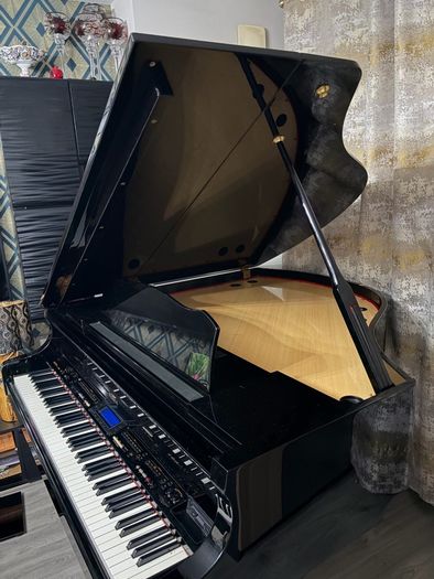 Digital Baby Grand Piano