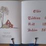 An Dile & Scealta on mBiobla le Brighid Ni Loingsigh - Bible stories 'As Gaeilge' illustrated 1970s FREEPOST Image 5