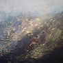 Brand new original painting Image 7