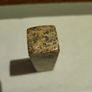 Dendritic plant stone Image 5