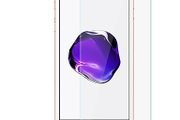 iPhone 6 Plus/ 6s Plus/ 7 Plus/ 8 Plus Tempered Glass Screen Protector