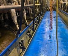 Relief milker